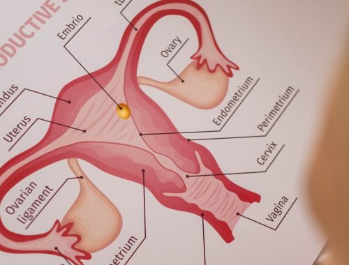 Mejorar la sexualidad con ejercicios Kegel